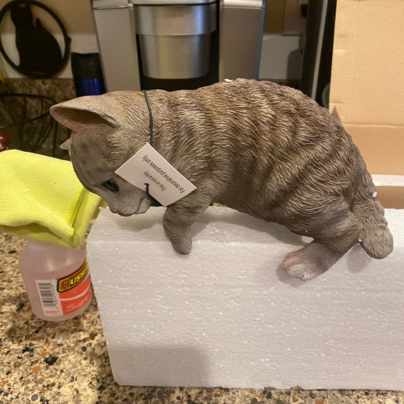 Grey Tabby Kitty Peeker - Picture 5 of 7